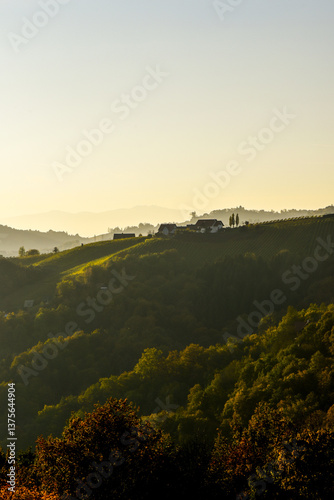 Obraz na płótnie Römerstrasse, Weinbaugebiet Sausal, Steiermark, Österreich, 20 w salonie