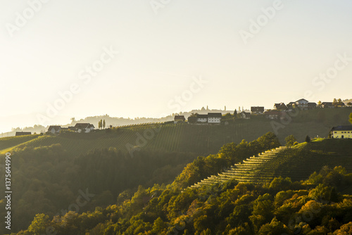 Obraz na płótnie Römerstrasse, Weinbaugebiet Sausal, Steiermark, Österreich, 20 w salonie