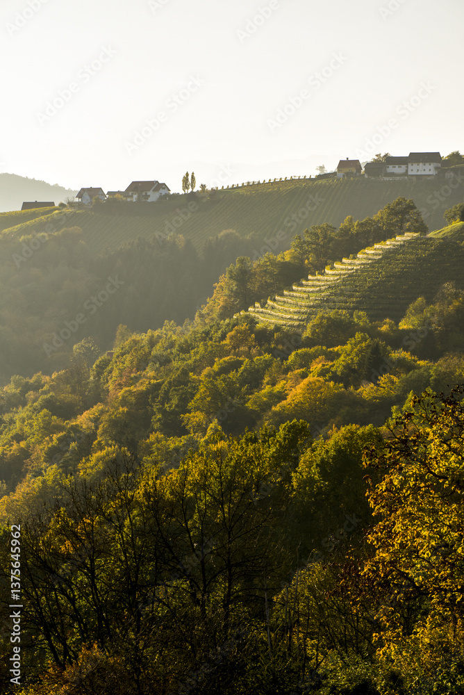 Römerstrasse, Weinbaugebiet Sausal, Steiermark, Österreich, 20