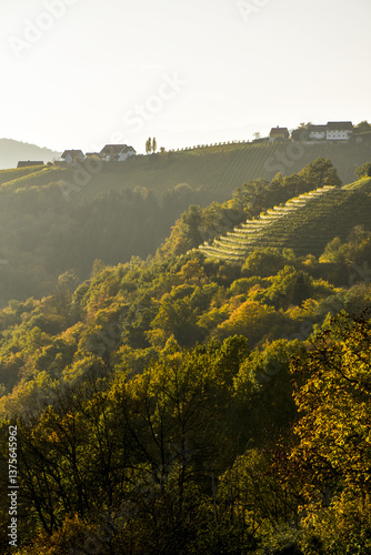 Obraz na płótnie Römerstrasse, Weinbaugebiet Sausal, Steiermark, Österreich, 20 w salonie