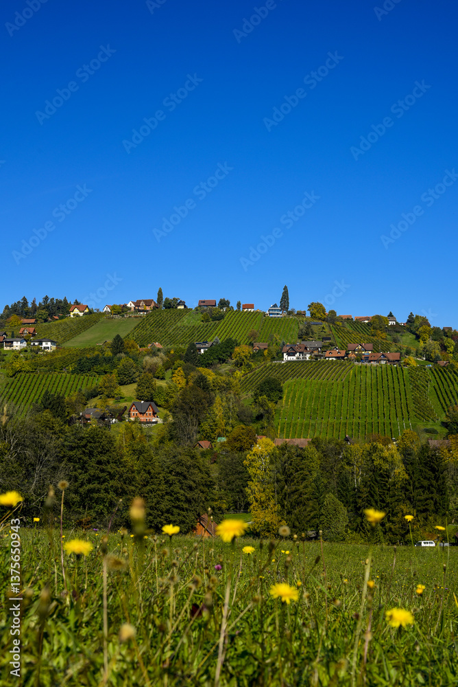 Schilcher Weinstrasse, Sankt Stefan ob Stainz, Steiermark, Öste