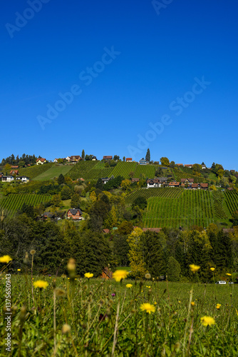 Obraz na płótnie Schilcher Weinstrasse, Sankt Stefan ob Stainz, Steiermark, Öste w salonie