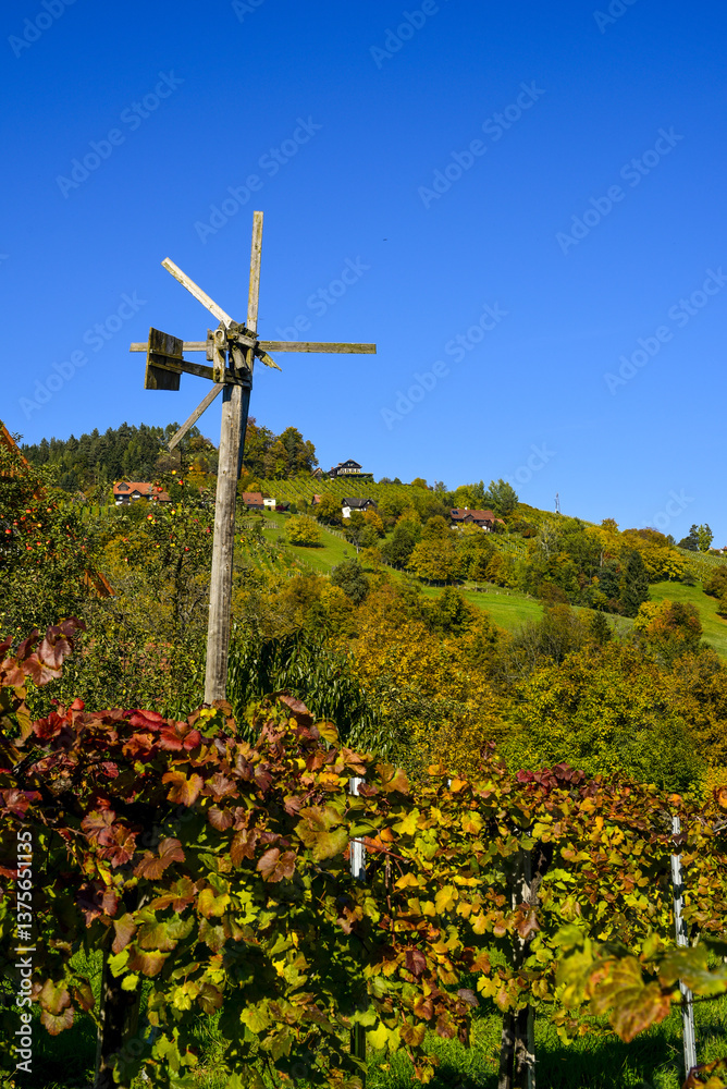 Schilcher Weinstrasse, Bad Gams, Steiermark, Österreich, 2015