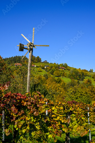 Obraz na płótnie Schilcher Weinstrasse, Bad Gams, Steiermark, Österreich, 2015 w salonie