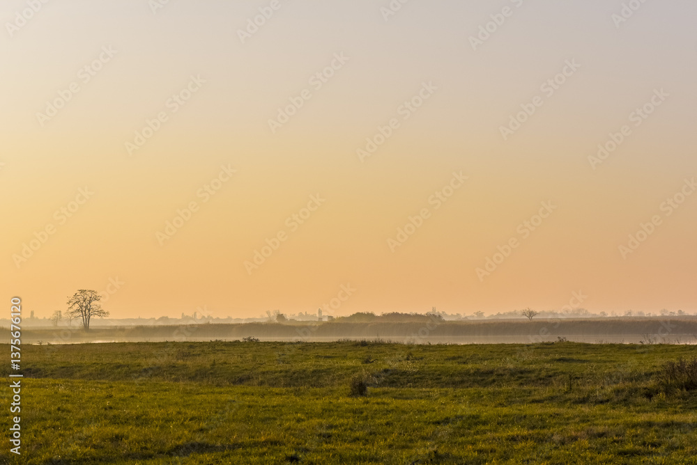Pannonnisch, Seewinkel, Burgenland, Österreich