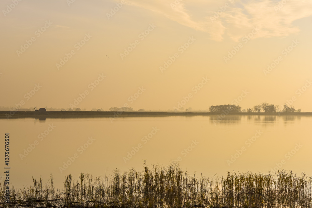 Pannonnisch, Seewinkel, Burgenland, Österreich