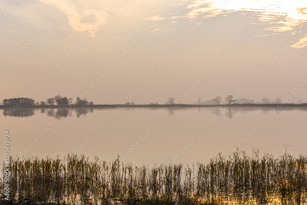 Pannonnisch, Seewinkel, Burgenland, Österreich