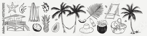 Tropical or California illustration of palm trees, exotic leaves, coconuts, seashells, coastal lifeguard tower. Vintage summer beach culture, surfing for digital prints. Sea vacation, weekend.