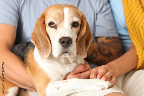 Young couple with cute Beag...
