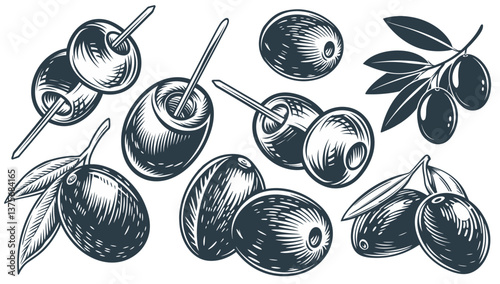 Vintage monochrome collection of olives with various types with toothpicks and leaves, for cocktail presentations and bar menus with elegant decorations