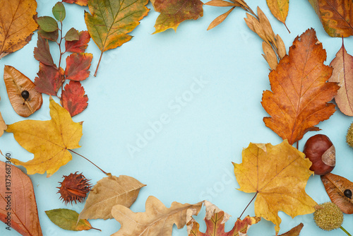 Frame made of autumn leaves...