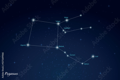 Pegasus Constellation with Star Names in Night Sky