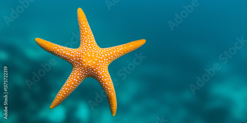Obraz na płótnie Colorful starfish with white spots seen swimming in clear tropical ocean water, representing marine life and underwater biodiversity w salonie
