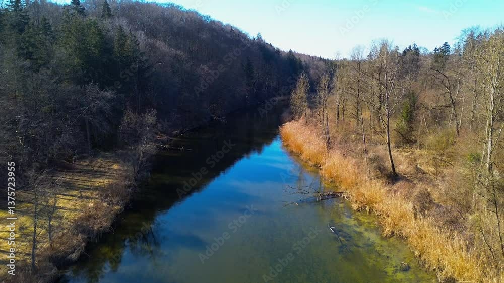 Aerial view of a winding river flowing through a dense forest with bare trees and golden reeds, capturing the beauty of a serene natural landscape in late autumn or early winter Aerial view of a winding river flowing through a dense forest with bare trees and golden reeds, capturing the beauty of a serene natural landscape in late autumn or early winter