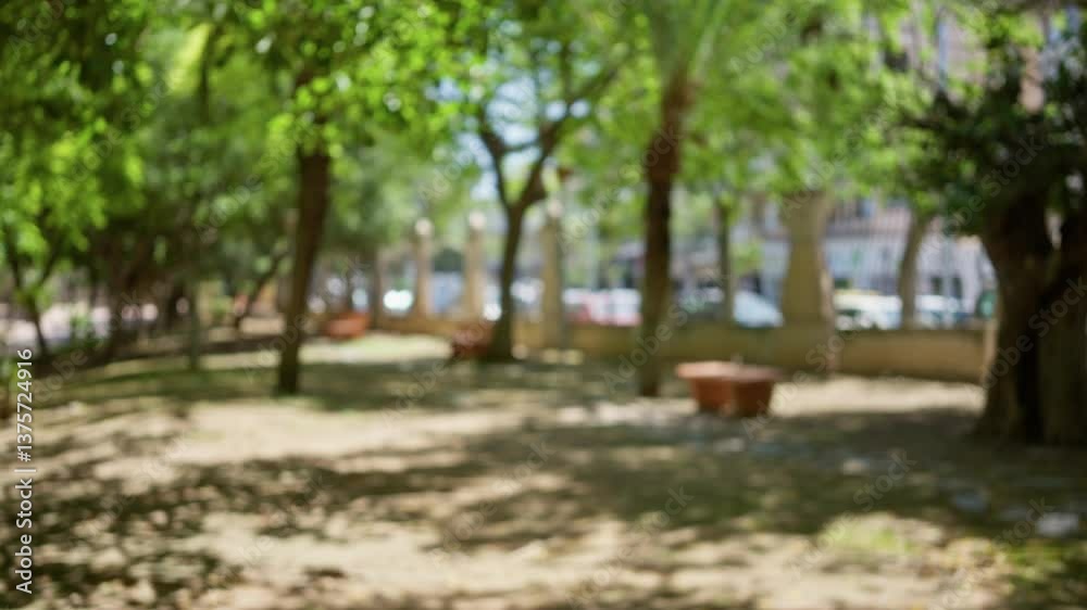 Blurred outdoor park scene with green trees and defocused background, capturing a sunny ambiance with bokeh effects.