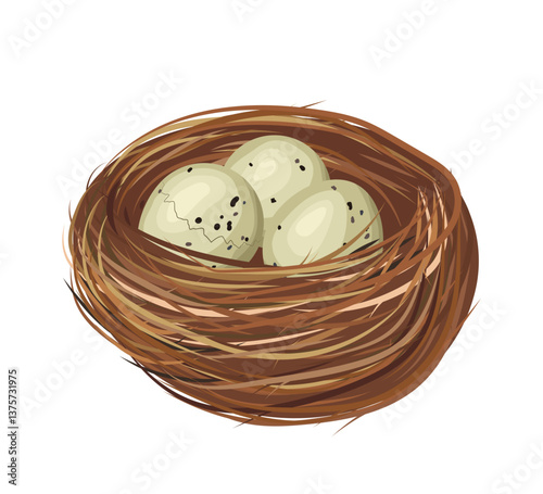 Bird Nest Containing Three Spotted Eggs, Cracked Egg, Waiting for Hatching