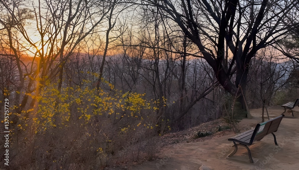 Fotografie Sunset Serenity: Park Bench Reverie