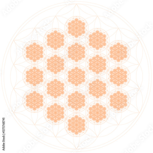 Flower_of_Life_381_times_orange