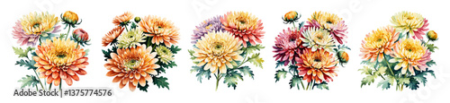Watercolor set of chrysanthemum flowers in various colors, showcasing the delicate beauty and vibrant hues of these elegant blooms. November birth month flowers isolated on transparent background