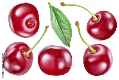 Set of tart cherries or sour cherries and cherry leaf isolated on white background. File contains clipping paths.