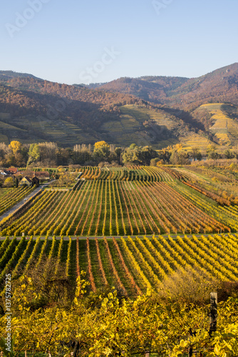 UNESCO Weltkulturerbe, Wachau, Weissenkirchen, NIederösterreich