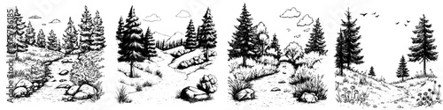 Nature trails winding through pine trees and rocky paths on a sunny day in a peaceful wilderness setting