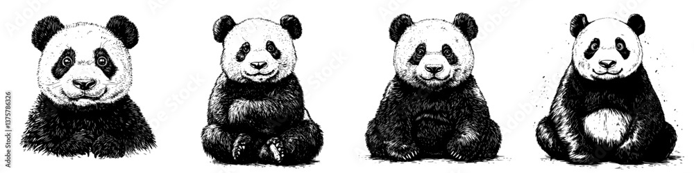 Obraz premium Various illustrations of pandas showcasing different poses and expressions in a black and white style