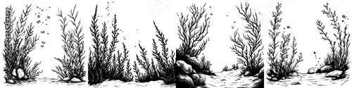Underwater plants thriving in a serene aquatic environment with bubbles rising in the sunlight