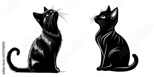 Black cats sitting gracefully against a white background, showcasing their smooth fur and elegant posture during a calm moment