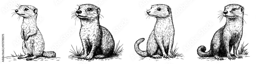 Obraz premium Illustration of a group of playful otters in various poses, showcasing their curiosity and social nature in a natural setting