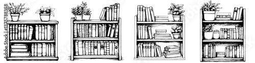 Bookshelves filled with various books and plants arranged in a simple artistic style showcasing literary charm