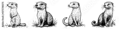 Illustration of a group of playful otters in various poses, showcasing their curiosity and social nature in a natural setting