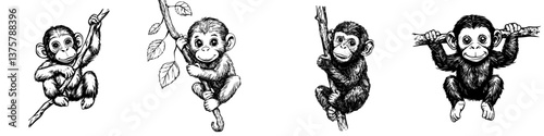 Playful baby monkeys climbing trees in a sunny jungle during the day