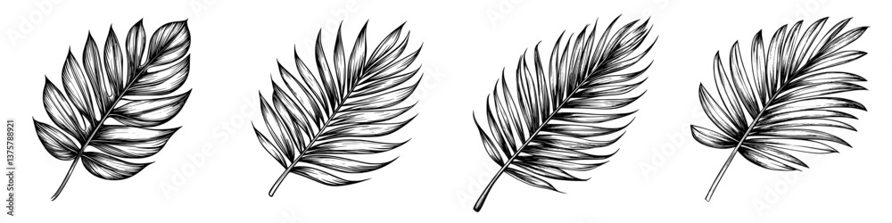 Fototapeta premium Different types of palm leaves arranged in a row showcasing their unique shapes and textures