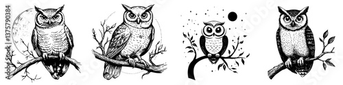 Artistic illustrations showcasing various owl species perched on tree branches at night