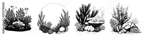 Various types of underwater coral ecosystems with diverse marine life and plant species in black and white illustration