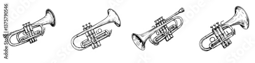 Musical instruments arranged horizontally showcasing various brass trumpets with unique styles and designs