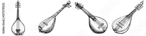 Various traditional stringed instruments displayed in detailed sketches showcasing craftsmanship and design from different cultures