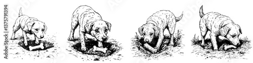 Playful puppies digging and enjoying a bone in a grassy area outdoors during a sunny day