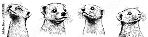 Unique black and white illustrations of four distinct ferrets showcasing their playful expressions and features