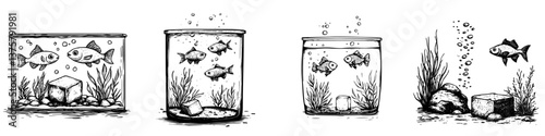 Various fish tanks illustrating different aquatic environments with fish swimming and vegetation at unknown time