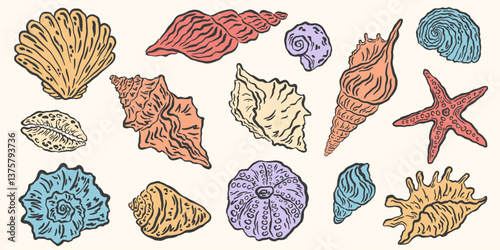 Hand drawn seashells drawing ink set. Minimalist line art, naive marine sketch. Summer vacation design elements for poster, menu, banners, invitation. Tropical beach shells. Vector illustration.