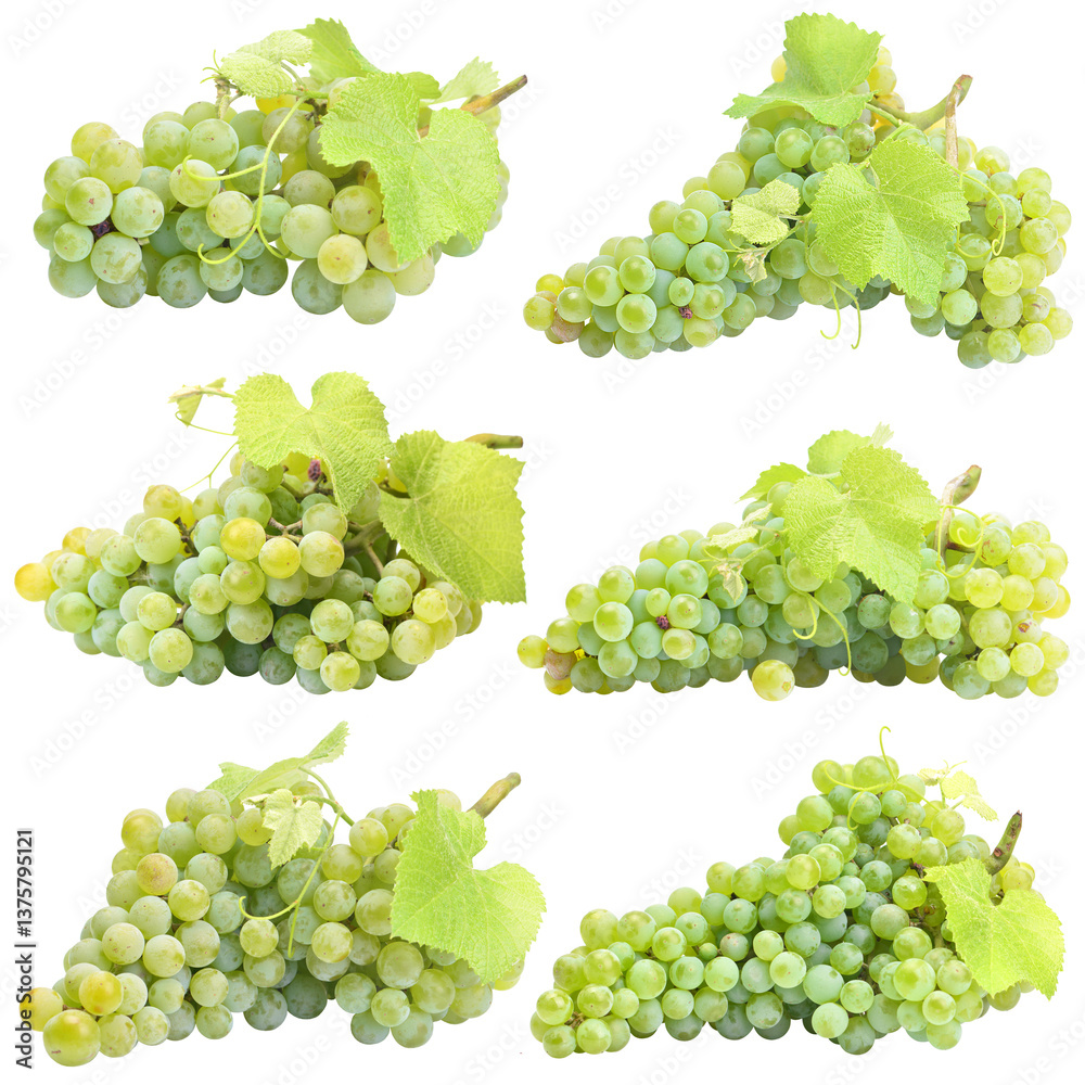 Set of green grapes isolated