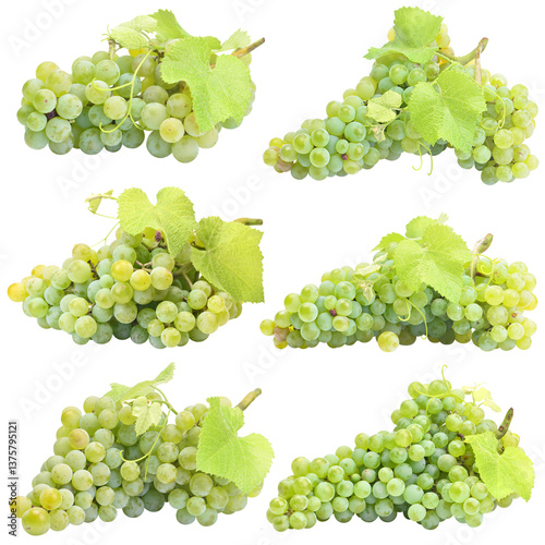 Obraz na płótnie Set of green grapes isolated w salonie
