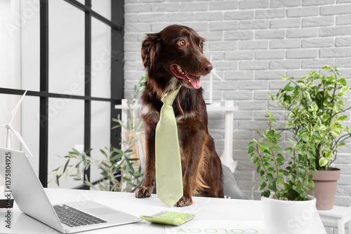Funny dog with necktie at t...