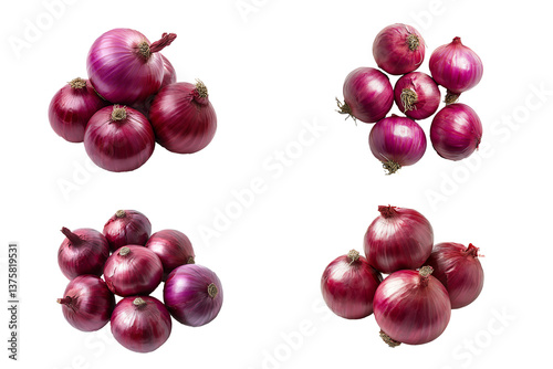 High-quality PNG bundle of red onion theme with transparent background. Perfect for food photography, culinary designs, and marketing. Commercial use, premium clipart