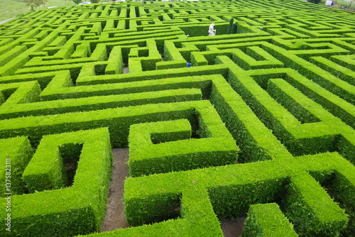 A detailed view of a green hedge maze with intricate pathways, a statue visible in the distance, and surrounding natural landscape.