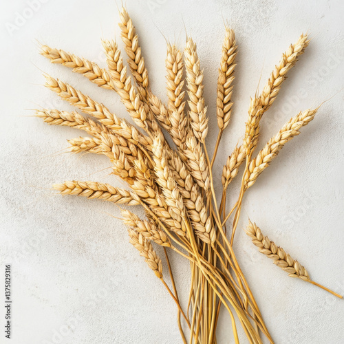top view wheat ley on the white table 