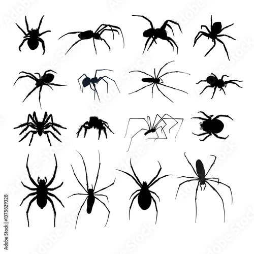 Set of spider silhouettes - vector illustration.