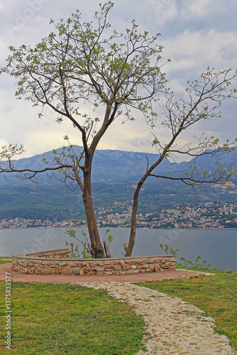 Pathway to Tree at Adriatic Sea Coast in Montenegro